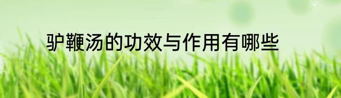 驴鞭汤的功效与作用有哪些