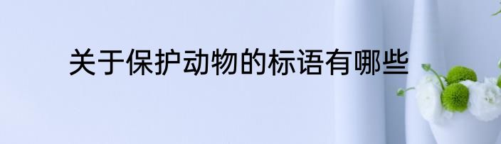 关于保护动物的标语有哪些