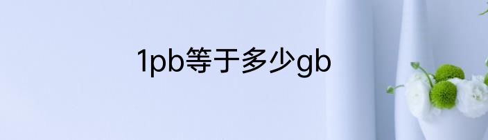 1pb等于多少gb