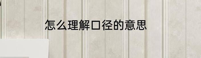 怎么理解口径的意思