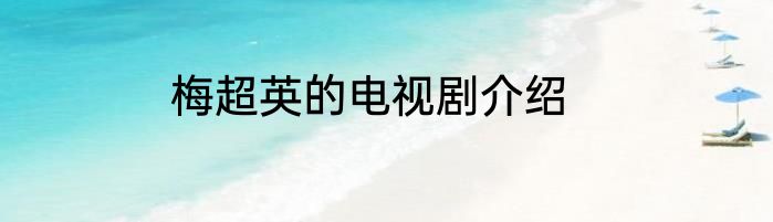 梅超英的电视剧介绍