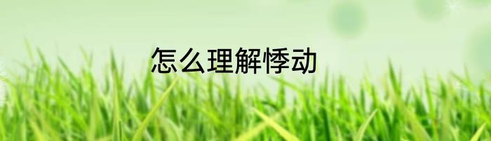 怎么理解悸动