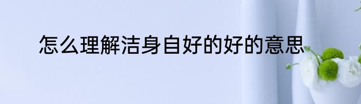 怎么理解洁身自好的好的意思