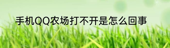 手机QQ农场打不开是怎么回事