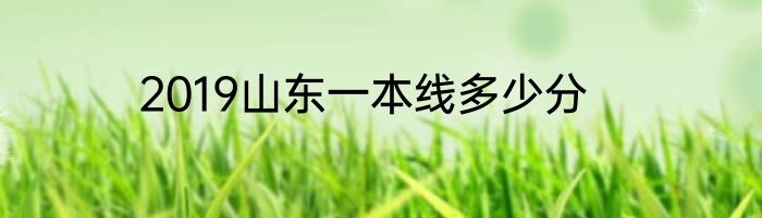 2019山东一本线多少分