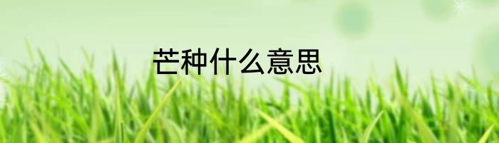 芒种什么意思