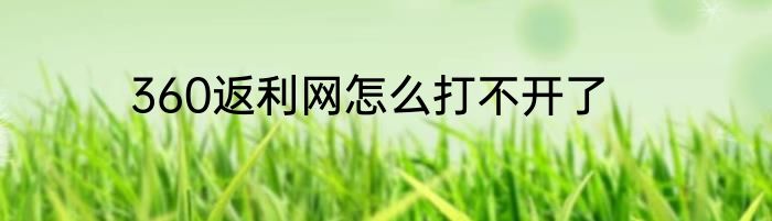 360返利网怎么打不开了
