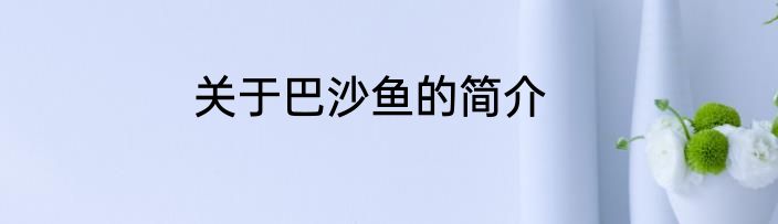 关于巴沙鱼的简介
