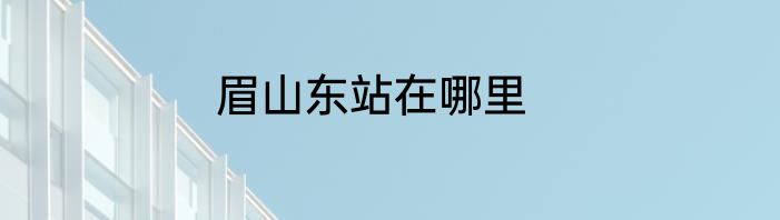 眉山东站在哪里