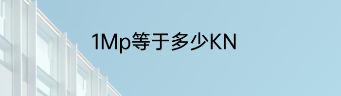 1Mp等于多少KN