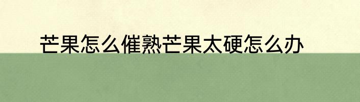 芒果怎么催熟芒果太硬怎么办