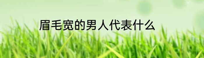 眉毛宽的男人代表什么