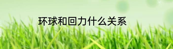 环球和回力什么关系