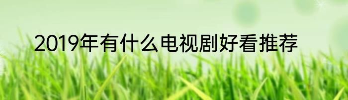 2019年有什么电视剧好看推荐