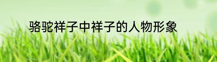 骆驼祥子中祥子的人物形象