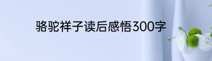 骆驼祥子读后感悟300字