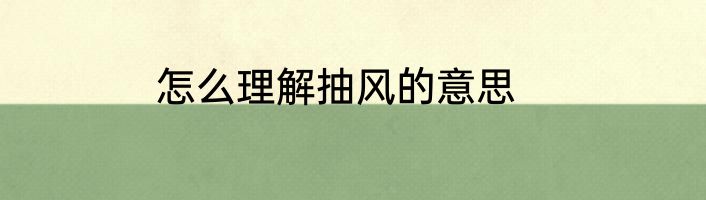 怎么理解抽风的意思