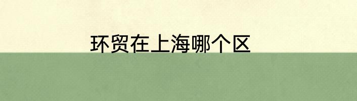 环贸在上海哪个区