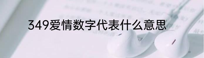 349爱情数字代表什么意思