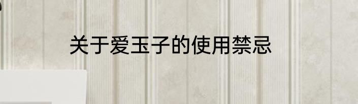 关于爱玉子的使用禁忌