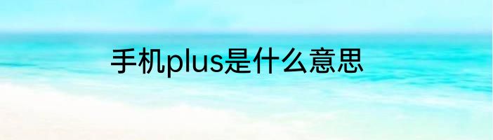 手机plus是什么意思