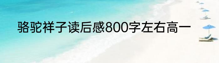骆驼祥子读后感800字左右高一