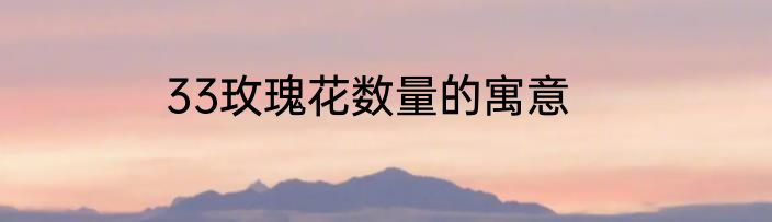 33玫瑰花数量的寓意