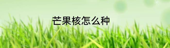 芒果核怎么种