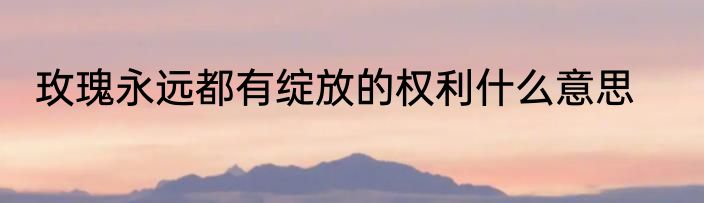 玫瑰永远都有绽放的权利什么意思