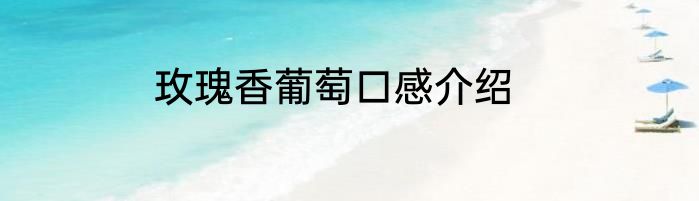 玫瑰香葡萄口感介绍