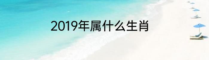 2019年属什么生肖