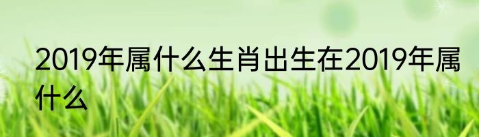 2019年属什么生肖出生在2019年属什么