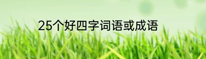 25个好四字词语或成语