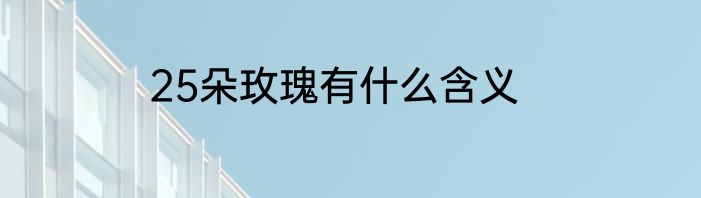 25朵玫瑰有什么含义