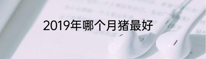 2019年哪个月猪最好