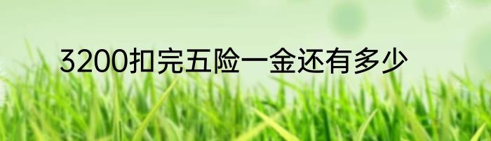 3200扣完五险一金还有多少
