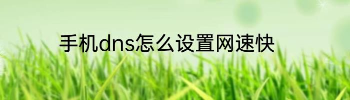 手机dns怎么设置网速快