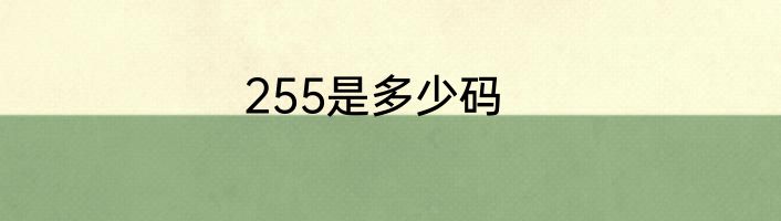 255是多少码
