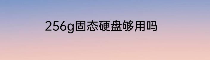 256g固态硬盘够用吗