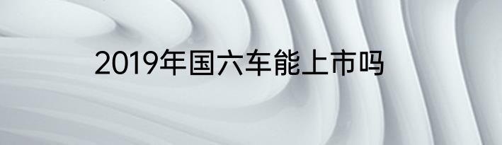 2019年国六车能上市吗