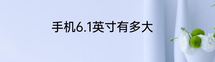 手机6.1英寸有多大