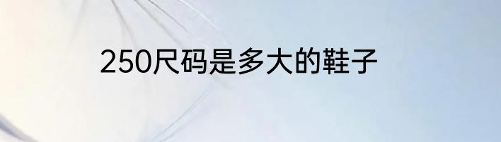 250尺码是多大的鞋子