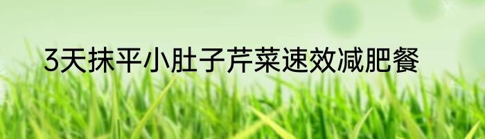 3天抹平小肚子芹菜速效减肥餐