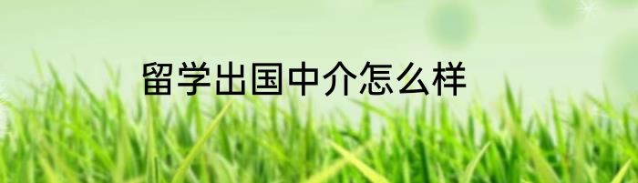 留学出国中介怎么样