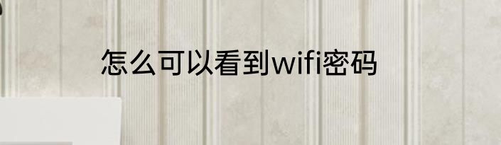 怎么可以看到wifi密码