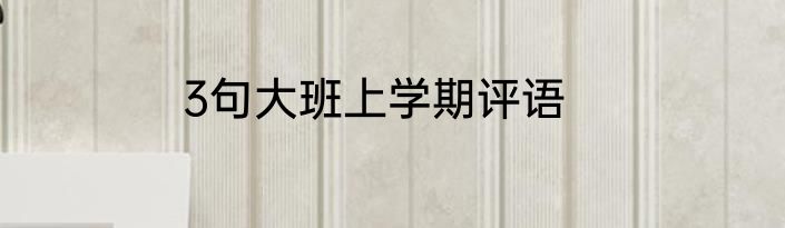 3句大班上学期评语