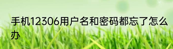 手机12306用户名和密码都忘了怎么办