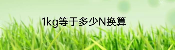 1kg等于多少N换算
