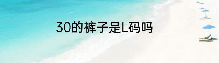 30的裤子是L码吗