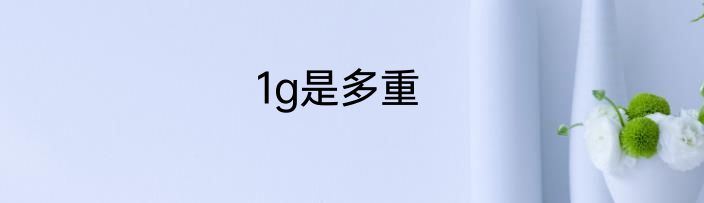 1g是多重